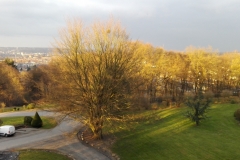 LaPairelle_01